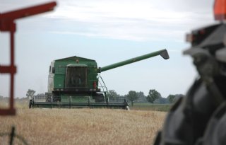 Landbouwministerie Oekraïne: graanoogst 'in goede staat'
