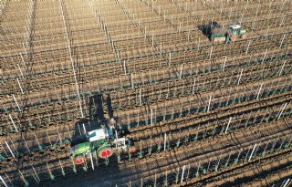 Nederland werkt met VS aan 'Fruitboomgaard van de toekomst'