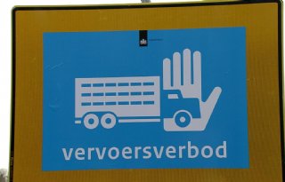 Vogelgriep+bij+vleeskuikens+in+Grootschermer+en+Willemstad
