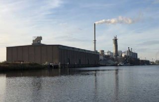 Veel Limburgse suikerbieten per schip naar fabriek Dinteloord