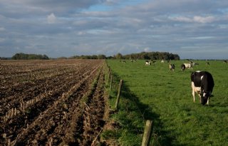 Buitenlands eigendom Nederlandse landbouwgrond neemt 8 procent af
