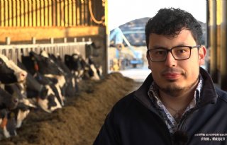 NAJK: 'Jonge boeren en tuinders zien EU als hun thuismarkt'
