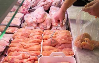 Zes landen heropenen grenzen voor Belgisch kippenvlees