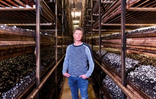 Limburgse champignonkweker krijgt bio-energiecentrale