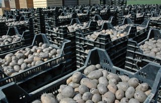 Verenigde Naties leveren Oekraïners op platteland pootaardappelen