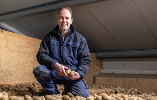 Ten Cate: 'Verlaging contractprijs desastreus voor perspectief aardappelteelt'