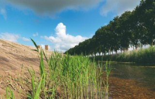 Laatste kilometers voor aanleg duurzame oevers Flevoland