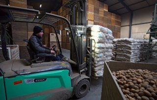 Aardappelcoöperatie Agrico tevreden met prijsverbetering