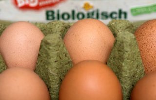 Kosten biologisch ei stijgen sneller dan prijs