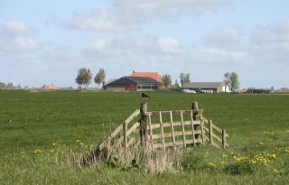 Vragen Friesland over 'ineens meer stikstofgevoelige natuur'