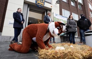 Friese landbouw komt met voorstel voor weidevogelbescherming