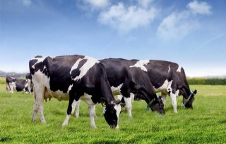 Vreugdenhil verlaagt CO2-uitstoot melktransport fors