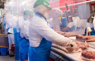 Vleesvarkensprijs Vion plust na wekenlange stilstand