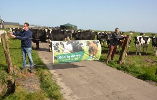 'Koe in de wei hoort erbij' in het Nederlandse landschap