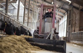 Melkveehouder Oosterlaken: 'Voer is de sleutel tot betere marges'