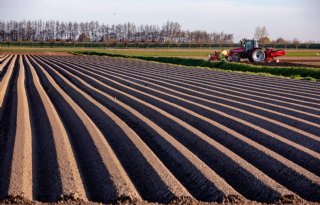 Aardappelen van oogst 2021 nu al flink aan de prijs