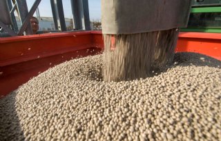 Agrifirm: meststoffen voorlopig een stuk duurder