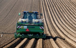 Vlaanderen verwacht lichte stijging aardappelareaal