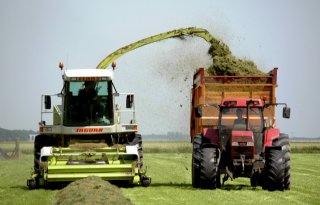 Eurofins Agro: zomerkuil bevat hoog VEM-gehalte