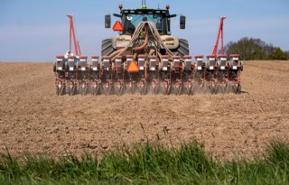 Dairyconsult: 'Laat eis 80 procent grasland vallen vanwege Oekraïne'