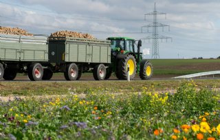 Duitse landbouwministers oneens over voer of voedsel
