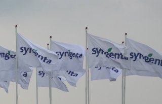 Syngenta+waarschuwt+tegen+Zwitsers+verbod+op+pesticiden