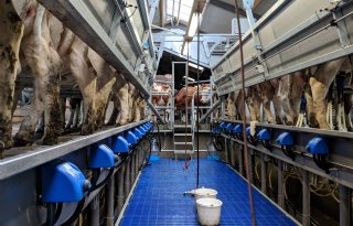 Ook in Frankrijk stijgt melkprijs, biologisch daalt