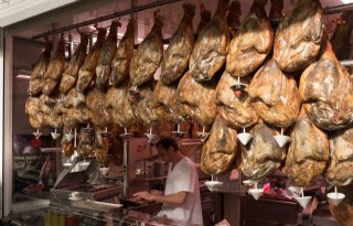 Roep om koersverandering Spaanse varkenshouderij