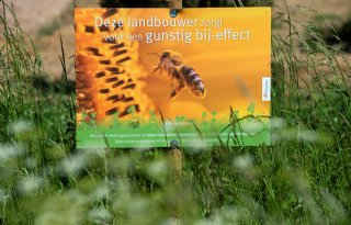 EU erkent burgerinitiatief 'Red bijen en boeren'