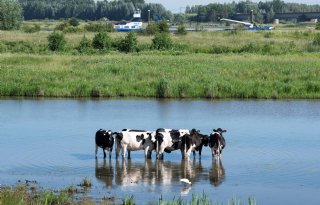 'Zesduizend stukjes grond van waterschap ingepikt, ook door boeren'