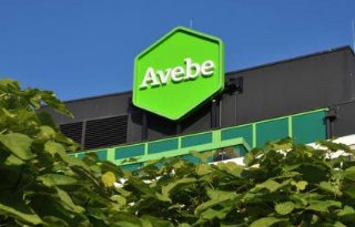 Avebe+investeert+in+productontwikkeling+zetmeelaardappelen