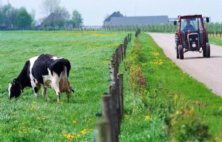 EU-politici: meer geld en aandacht nodig voor modernisering platteland