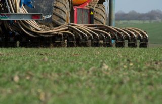 Advies CDM: stel termijnen voor mest uitrijden en grasland scheuren niet uit