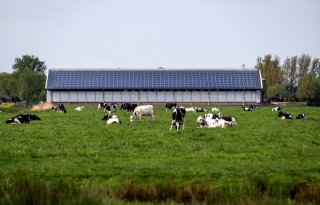 Melkveehouder blijft investeren in zonnepanelen