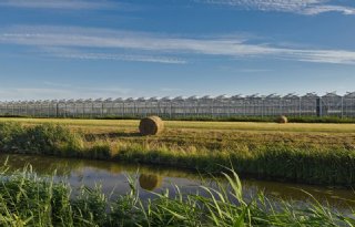 Glastuinbouw+Nederland+lanceert+website+voor+het+grote+publiek