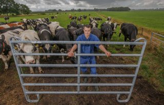 Melkveehouder Van Burgsteden: 'Haastig klusje kan zo fout aflopen'
