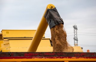 Rusland: lagere graanoogst dit jaar na record in 2022