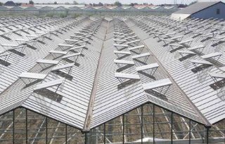 Vertrek glastuinbouw naar buitenland bij Europese CO2-prijzen