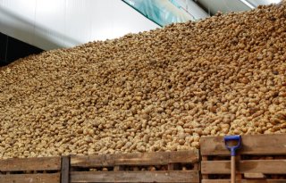 Aardappeltermijnmarkt noteert opnieuw tot 21 euro