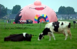 5 vragen over het ongelukkige huwelijk tussen boeren en luchtballonnen