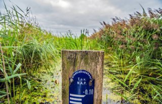 Wetterskip Fryslân verhoogt waterpeil