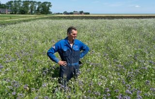 Drenthe verdubbelt premie voor duurzaam boeren
