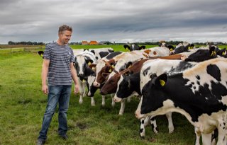 LTO Noord vraagt meer speelruimte voor Amelander boeren