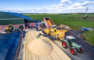 Maisproducenten willen mais als braakgewas