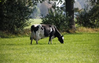 Gelderse boeren denken vaker na over natuurinclusieve landbouw