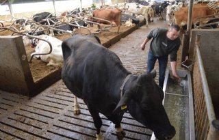 Boeren blij met waterdesinfectieapparaat, veeartsen twijfelen
