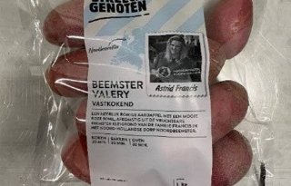 Albert Heijn introduceert Beemster Valery-aardappel als streekproduct