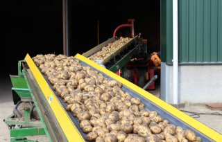 Fritesindustrie verwerkte in januari nog nooit zoveel aardappelen