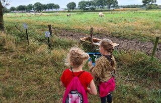 Kinderen speuren door en leren over het platteland