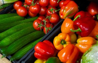 Exportwaarde groente en fruit neemt toe, maar volume daalt